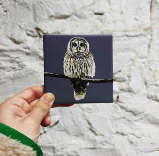 Stone Bird Coaster - Barn Owl