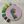 Load image into Gallery viewer, DIY Embroidery Kit 5&quot; - Fiddlehead
