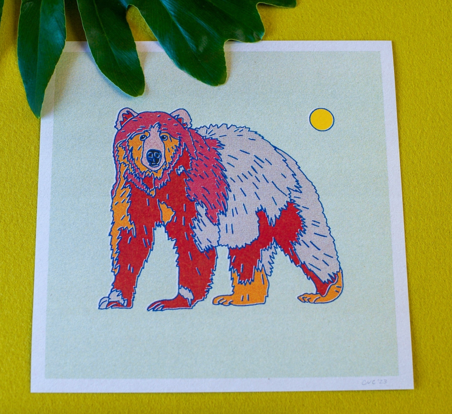 Rainbow Bear Print - 12x12