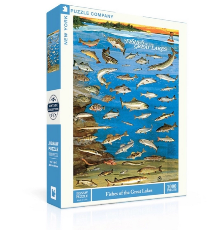 Fishes of the Great Lake Puzzle - 1000 Piece