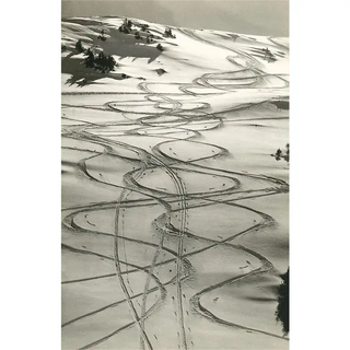 Ski Trails in Snow Print 12.5" x 18"
