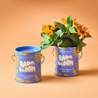 Complimentary Color Grow Kits Bada Bloom