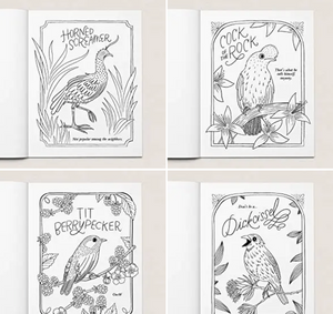 30 Dirty Birdies Adults Only Coloring Book