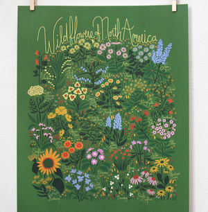Wildflowers of North America Green Print