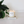 Load image into Gallery viewer, Mahogany + Cashmere Tumbler Candle - 12.5oz

