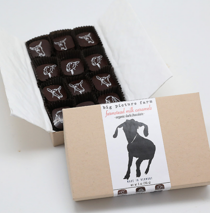 Chocolate Covered Goat Milk Caramels - 12 Piece