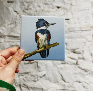 Stone Bird Coaster - Kingfisher