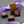 Load image into Gallery viewer, Chocolate Covered Goat Milk Caramels - 2 piece
