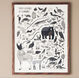 Wild Animals of Vermont Print - 16x20