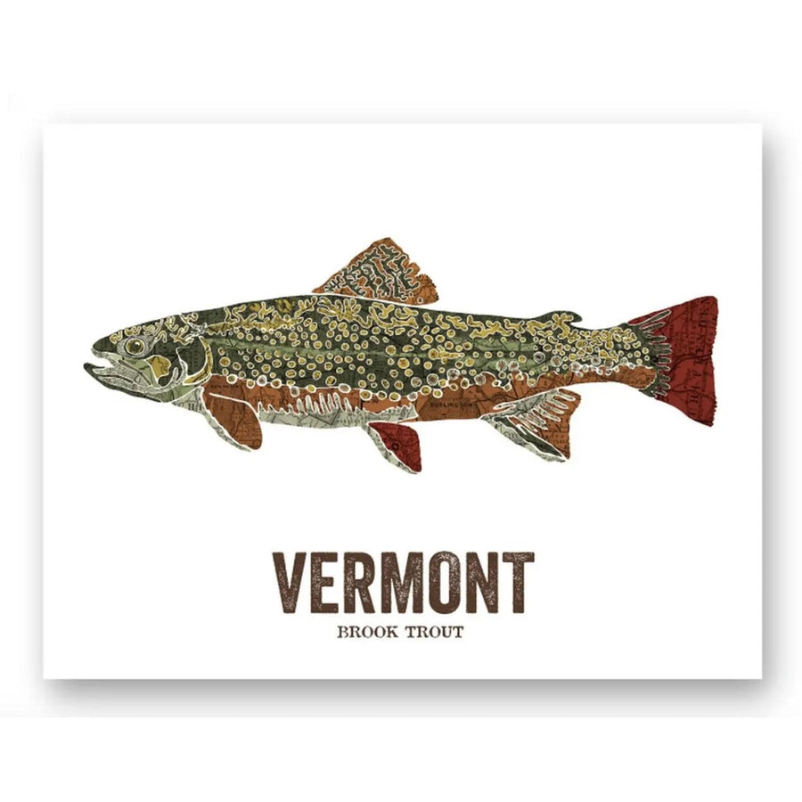 Vermont State Fish Trout Geographic Map Print - 16x20
