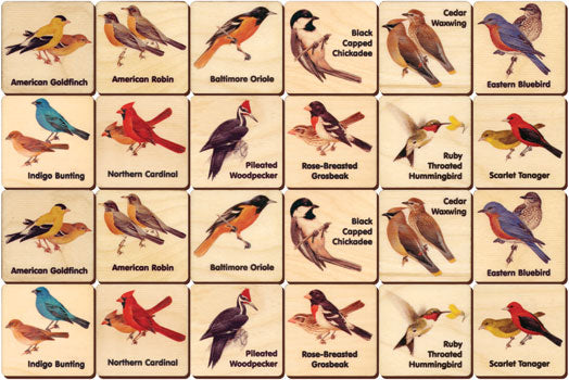 Backyard Birds Memory Tiles Game