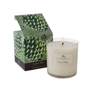 Roland Pine Large Candle - 9.5oz