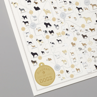 Diagram of Dogs Print - 16x20 - PICKUP ONLY