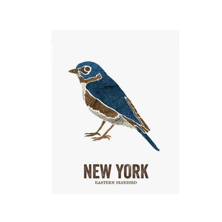 New York Geographical Map Bird Print - 11x14