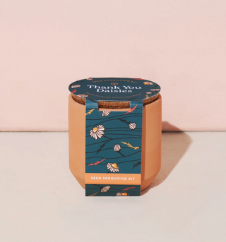 Tiny Terracotta Grow Kit - Thank You Daisies