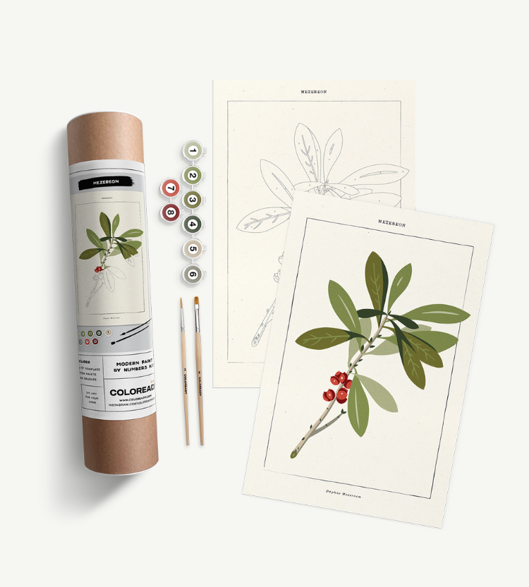 Mezereon Botanical Paint-By-Numbers Kit