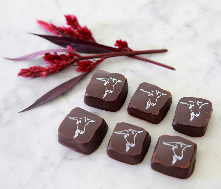 Chocolate Covered Goat Milk Caramels - 6 piece