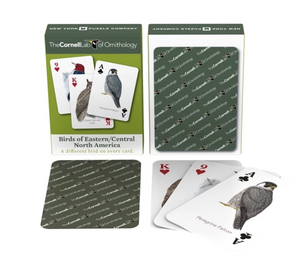 Birds of Eastern North America Playing Cards
