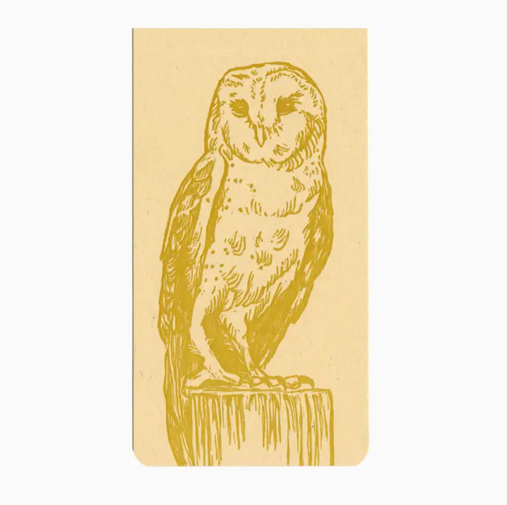 Small Jotter Notepad - Barn Owl