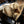 Load image into Gallery viewer, The Chopper Lined Goatskin Mitts
