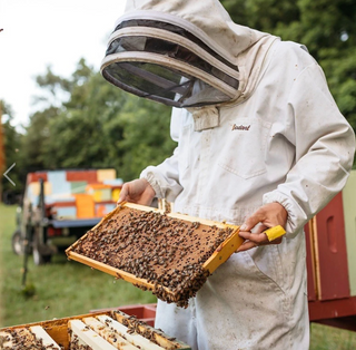 Vermont Raw Honey - 1 Lb
