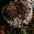 Load image into Gallery viewer, Chestnut Plush Owl Hatching Critter in Shell
