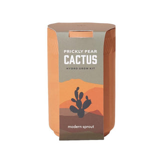 Terracotta Cactus Grow Kit