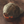 Load image into Gallery viewer, Waxed Canvas Basic Camper Hat - Forest
