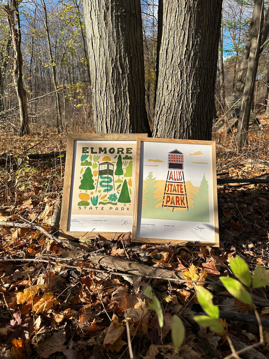Vermont Parks Collection Print: Elmore State Park Blinderman 12x16