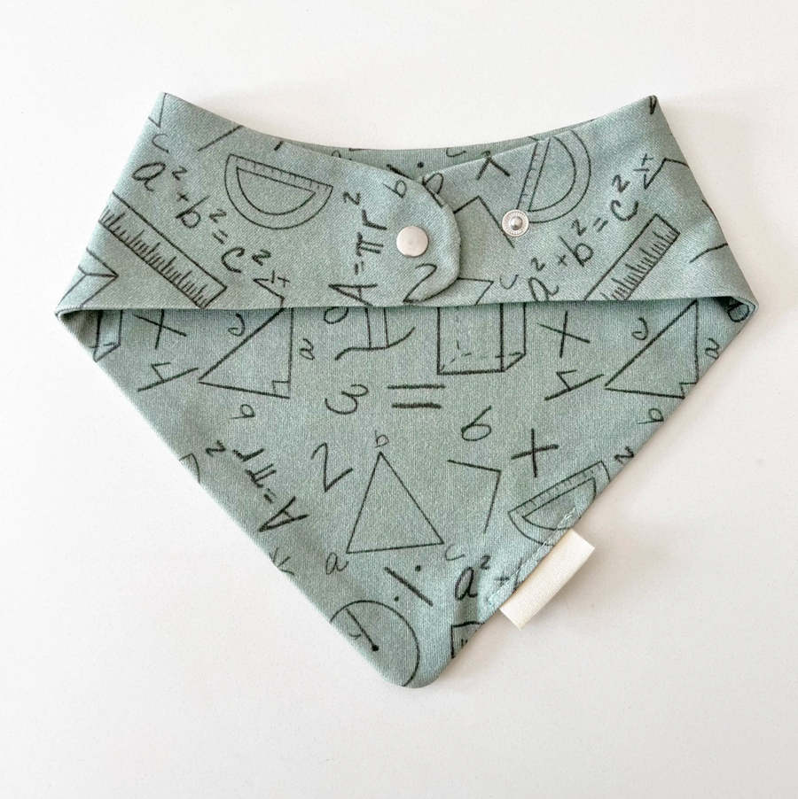 Organic Bandana Bib - Smarty Pants