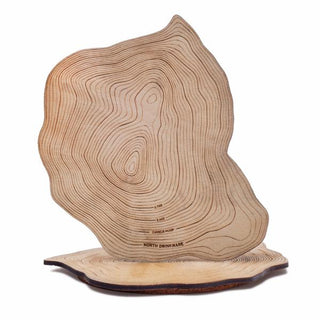 Camel's Hump Topographic Coasters Set of 2