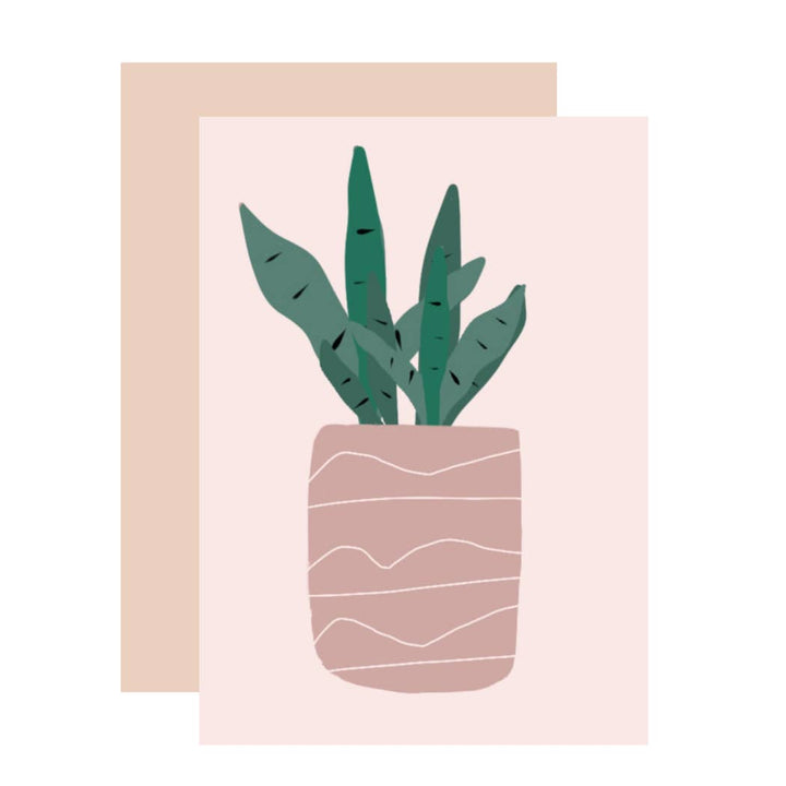 Cacti in Pink Planter Greeting Card - AMP2