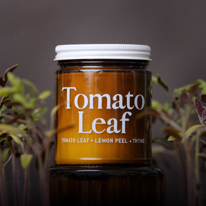 Vermont Made Tomato Leaf Candle