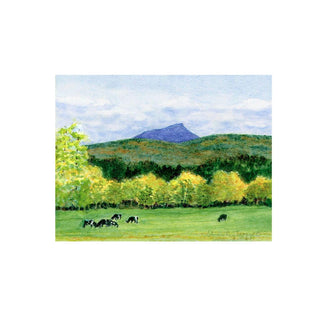 UNFRAMED 8x8 Print - Camel's Hump