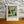 Load image into Gallery viewer, Vermont Parks Collection Print: Elmore State Park Blinderman 12x16
