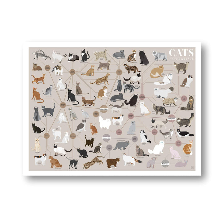 Cats, Categorized Print - 16 x 20 PICKUP ONLY