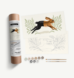 Running Hare Paint-By-Numbers Kit