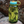 Load image into Gallery viewer, Outdoorsy Nalgene Water Bottle
