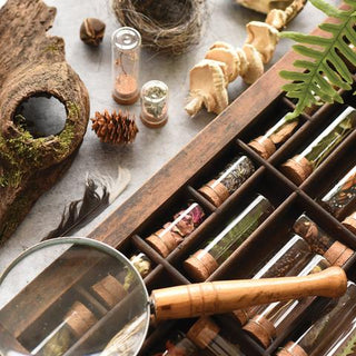 Explorer's Specimen Collecting Kit