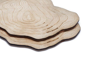 Camel's Hump Topographic Coasters Set of 2