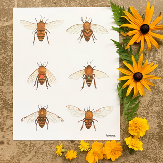 Botanical: The Bees Print - 8 x 10