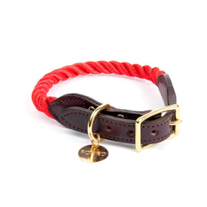 Rope Dog Collar