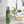 Load image into Gallery viewer, Roland Pine Fragrance Spray
