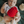 Load image into Gallery viewer, Ozzie Cardinal Hatcher Plush Toy
