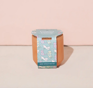 Tiny Terracotta Grow Kit - Curious Catnip