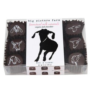 Chocolate Covered Goat Milk Caramels - 6 piece
