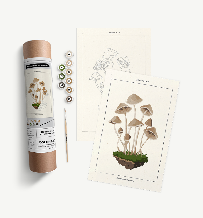 Mushroom Botanicals Paint By Numbers Kit
